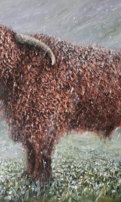 Winter Highlander by Joseph  Charman