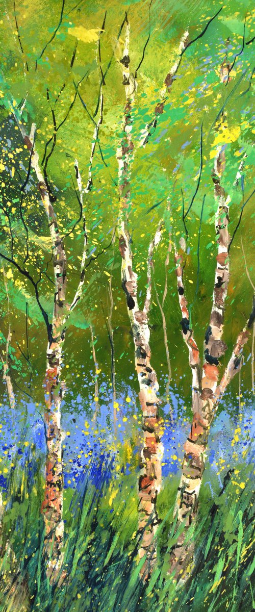 Aspen trees - 5622 by Pol Henry Ledent