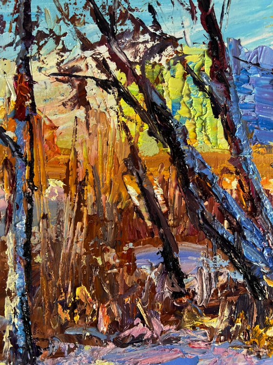 In the Winter Forest