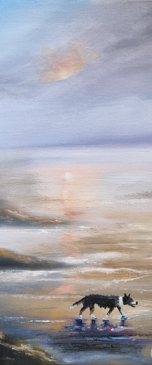 Collie at the Beach by Hayley Huckson