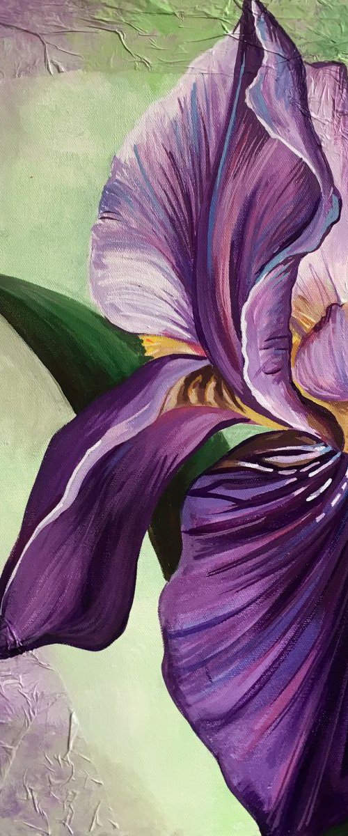 The Iris by Tiffany Budd