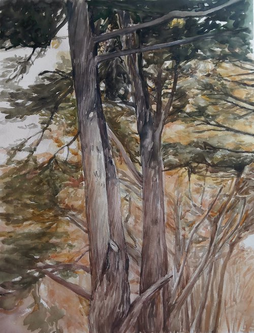 Trees watercolor painting by Jelena Milojevic