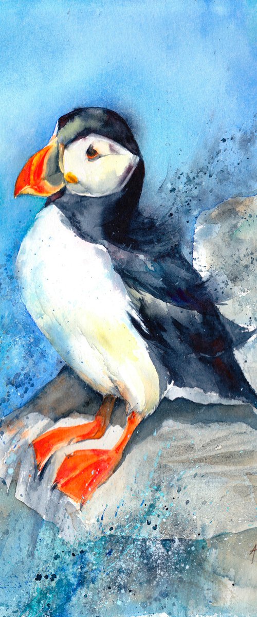 Puffin by Anjana Cawdell