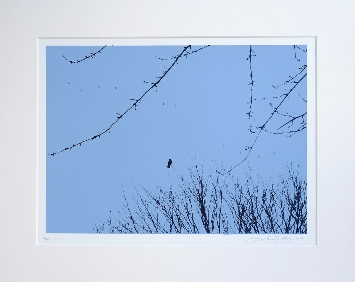 Free as a bird by Lene Bladbjerg