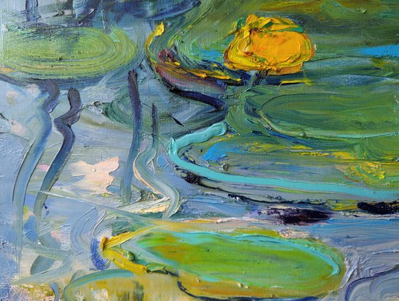 Water lilies