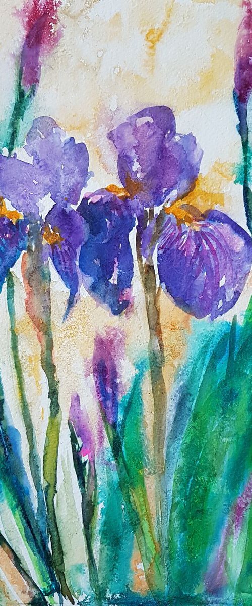 IRISES by Silvia Flores Vitiello