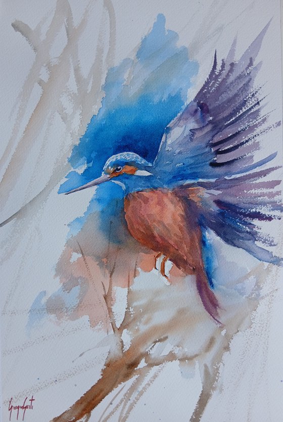 Kingfisher