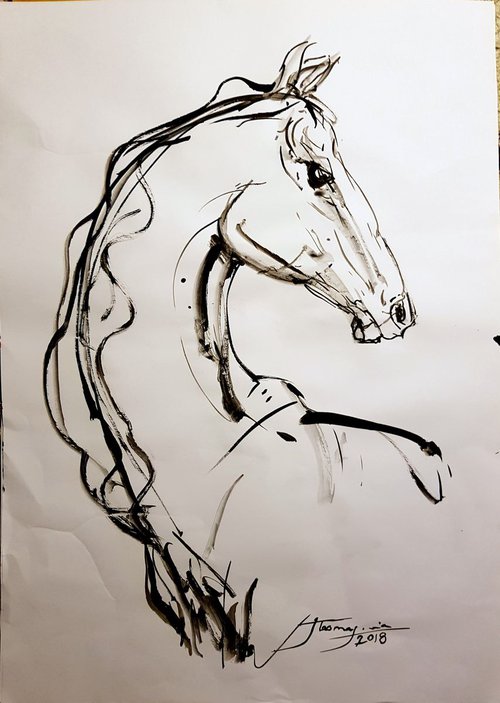 Horse 3 by Jamaleddin Toomajnia