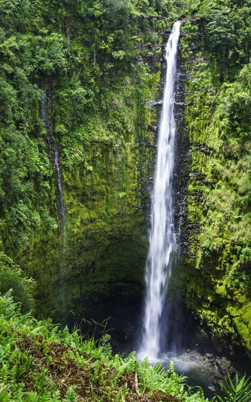 Akaka Falls, Big Island by Francesco Carucci