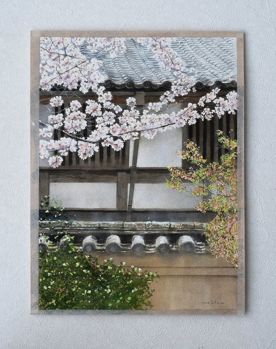 Spring Breeze in Sagano, Kyoto