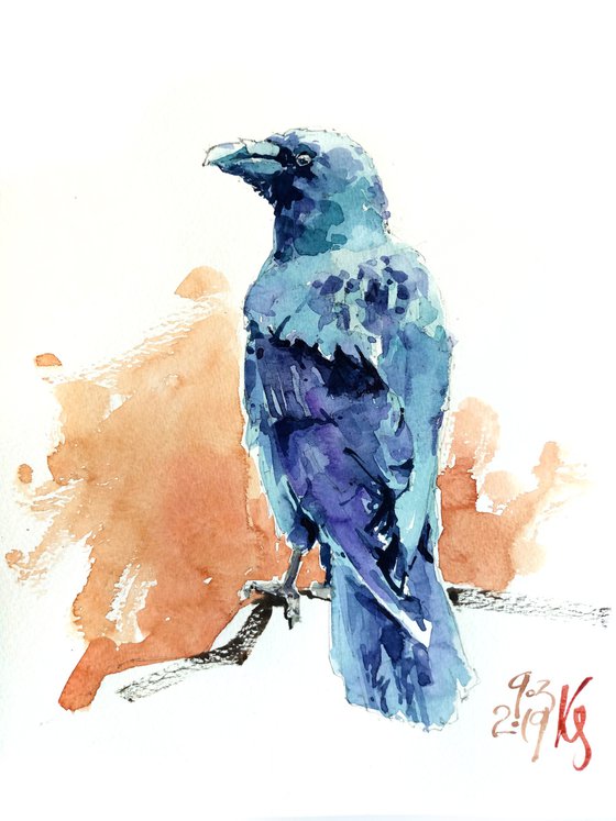 Watercolor sketch "Raven"