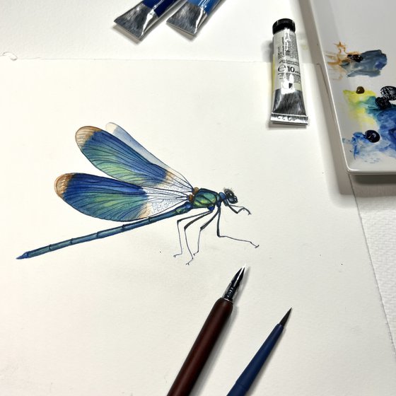 Blue dragonfly. Original watercolour artwork.