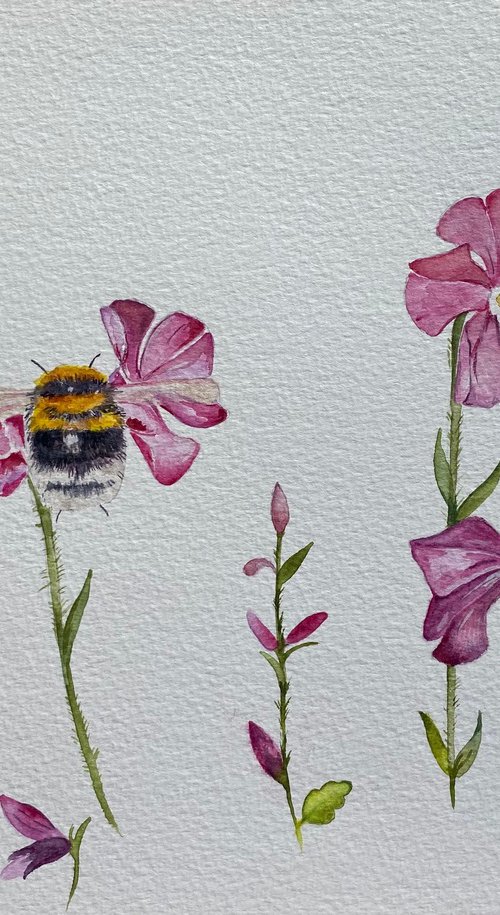 Bumble bee and flowers by Bethany Taylor