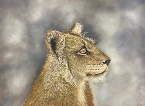 Lioness by Maxine Taylor