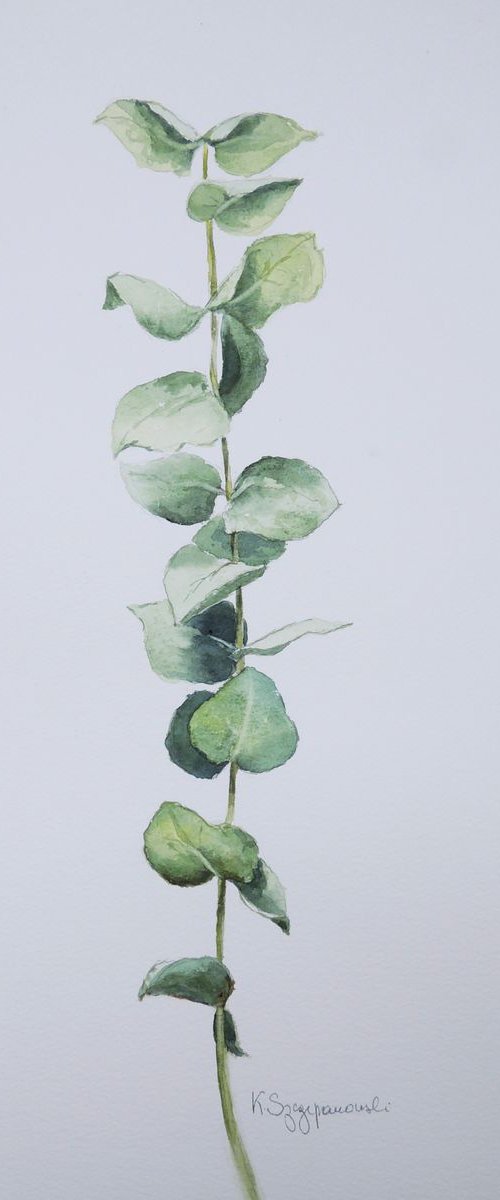 Leafstalk by Krystyna Szczepanowski