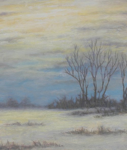 Winter Field by John Fleck