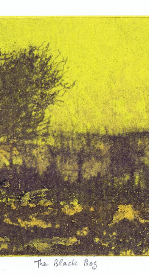 The Black Bog by Aidan Flanagan Irish Landscapes
