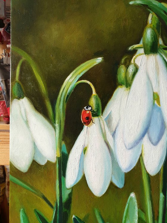 "Guest."  flower snowdrops ladybug  liGHt original painting  GIFT (2020)