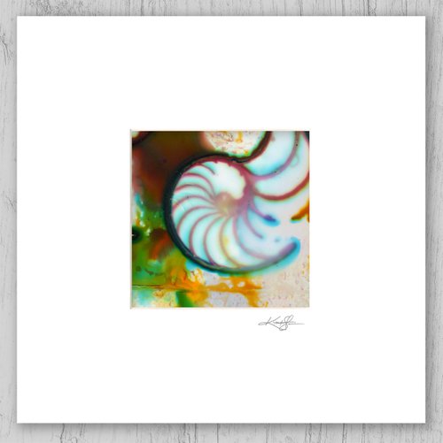 Matted Nautilus Shell 3 - Painting by Kathy Morton Stanion by Kathy Morton Stanion
