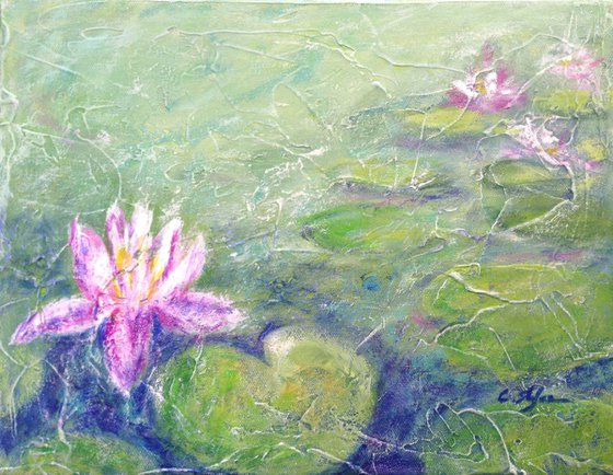 Pond with Water Lily