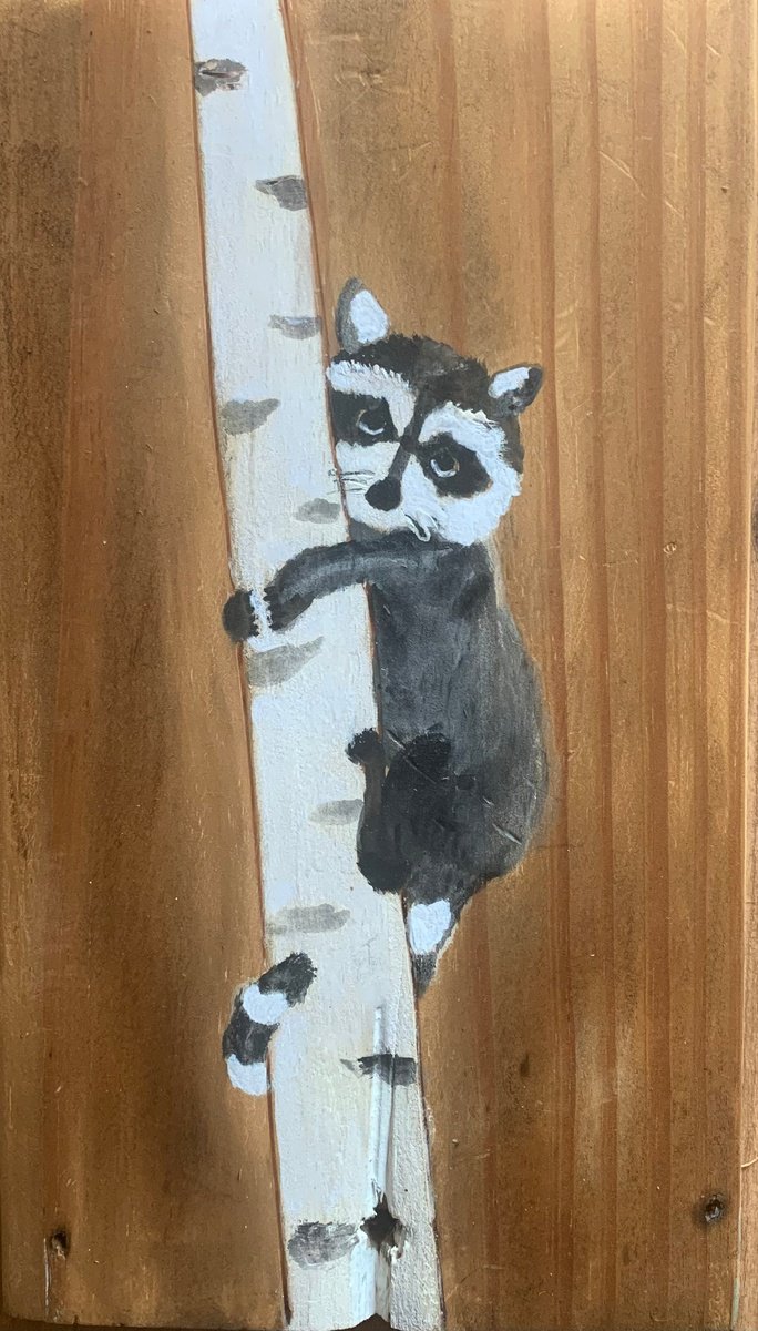 Raccoon by Paul Simon Hughes