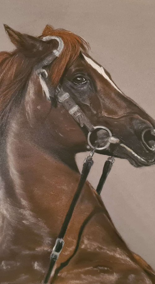 Pastel painting on Paper horse "Brown horse'' . by Deimante Bruzguliene