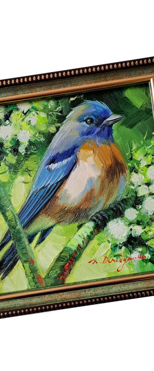 Bluebird bird painting by Nataly Derevyanko