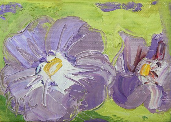 Geranium - Purple Flowers