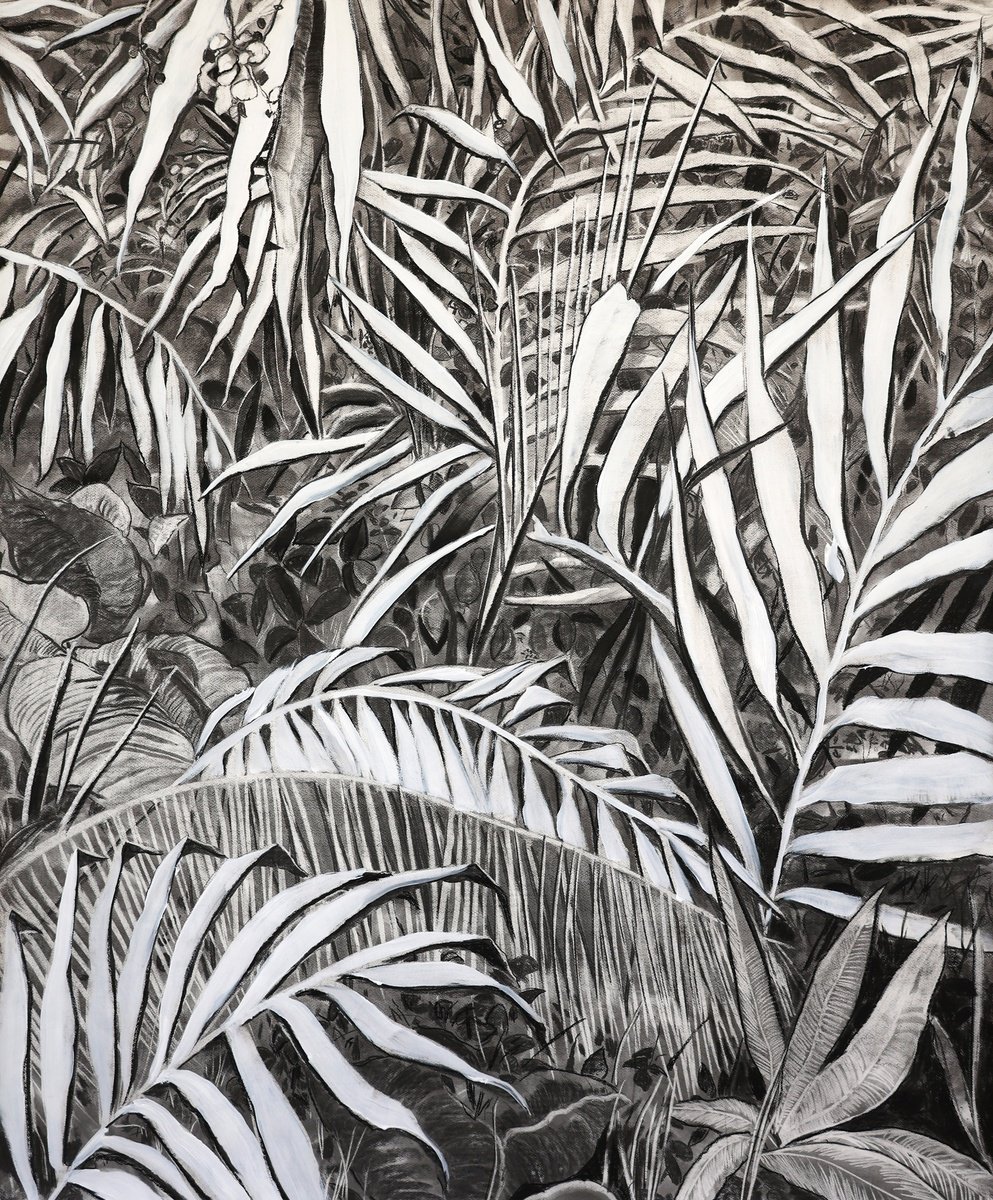 Organic Landscape Charcoal Drawing By Dominic Virtosu, 49 X 59, Deep Jungle, Original Artwork