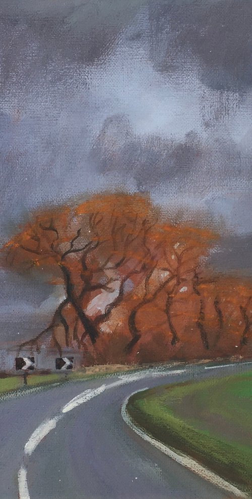 Willows on Romney Marsh by Nikki Sumray