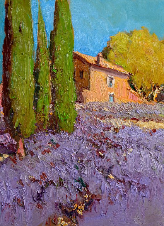 Lavender, French Village