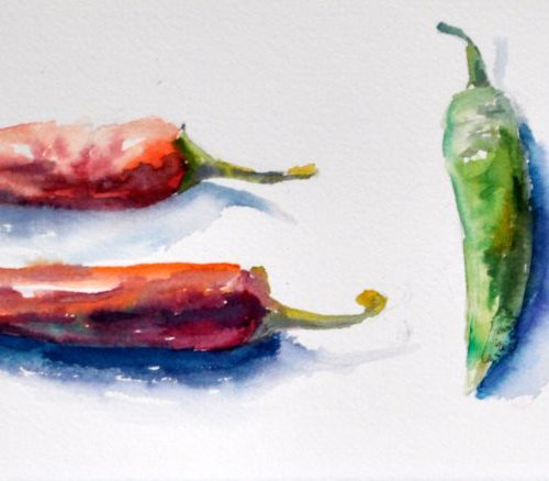 4 PEPPERS original watercolour 37x13 by Beata van Wijngaarden