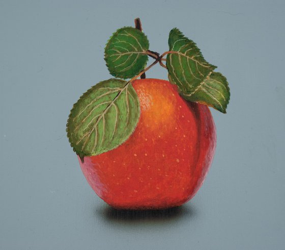 Red Apple on Grey