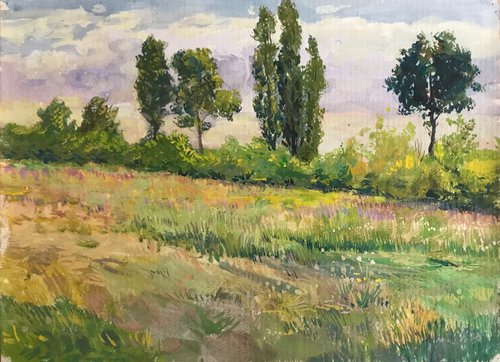 On the fields by Viktor Mishurovskiy