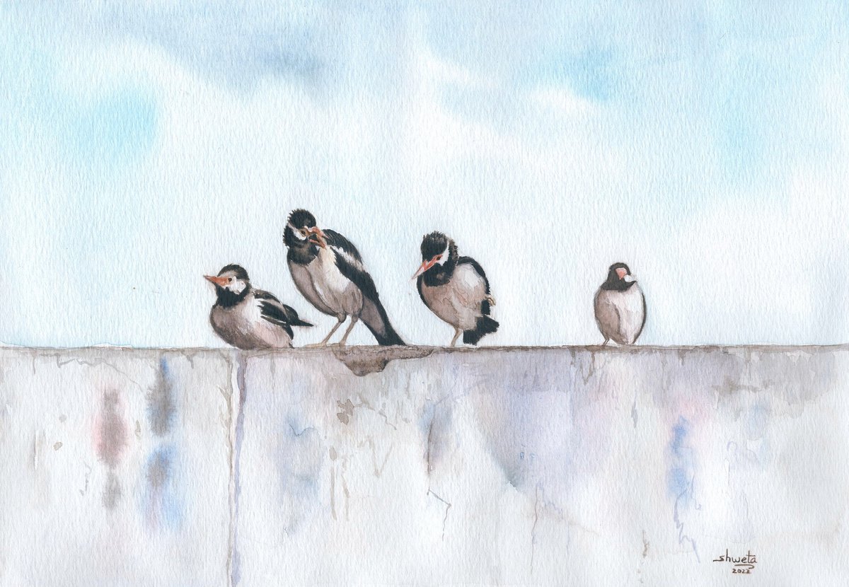 Indian Pied Myna Watercolor Painting by Shweta  Mahajan