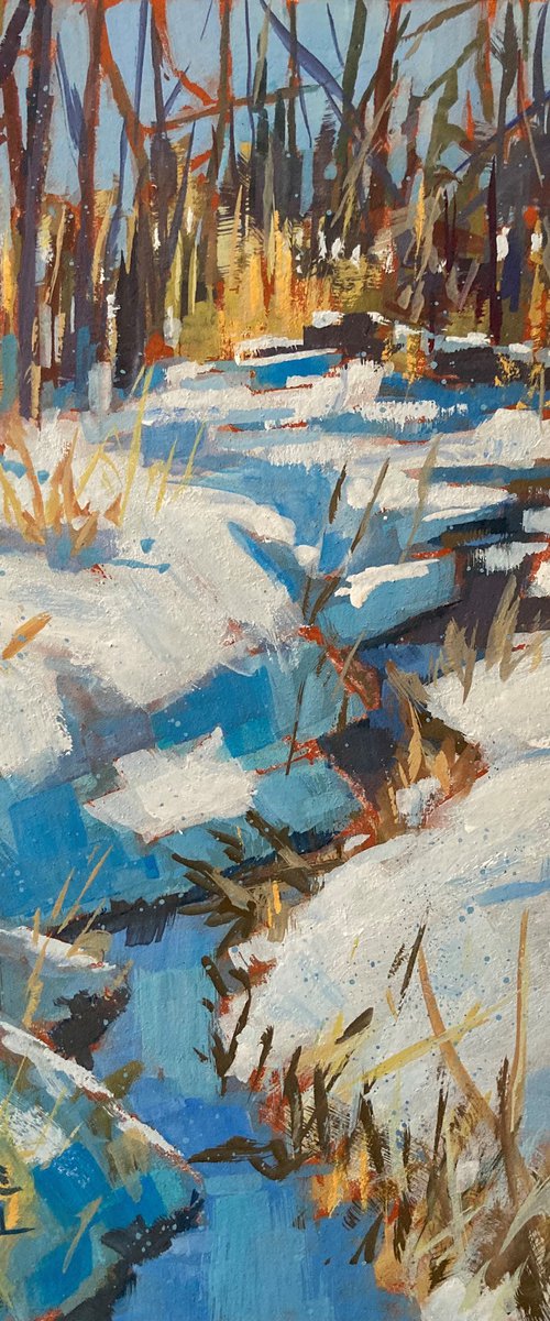 Parker Creek West in Snow and Sun by Jimmy Leslie