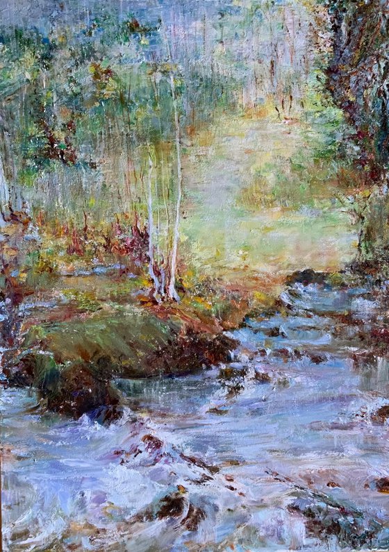 Forest Stream