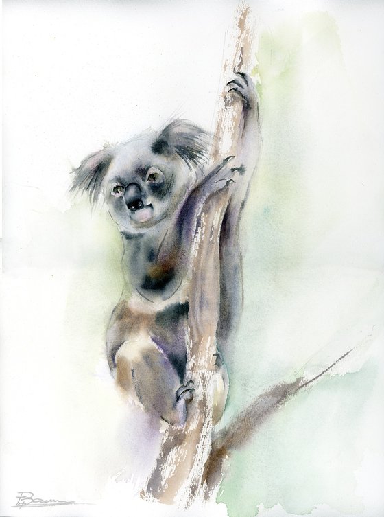 Koala Climber