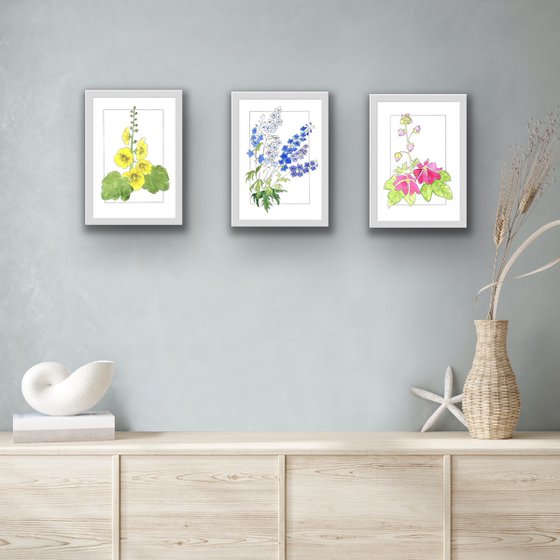 Floral triptych with mallows and bluebells flowers - Mixed media botanical illustration