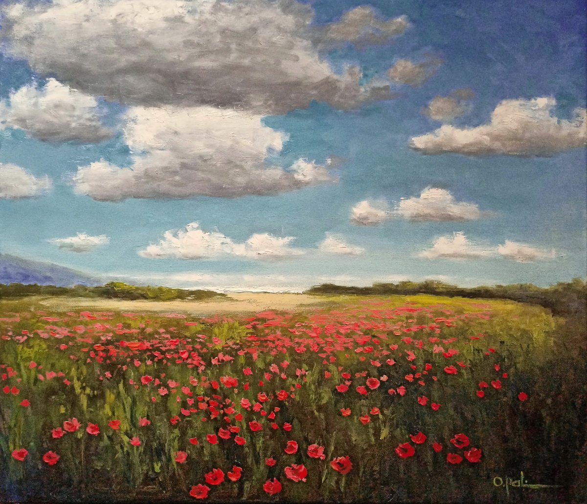 Poppies Near The Sea By Oleh Rak, 28 X 24, Artwork For Sale On Artfinder