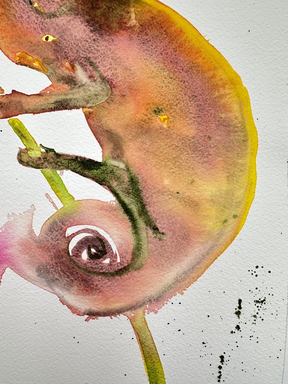 Animal: Chameleon and Frog