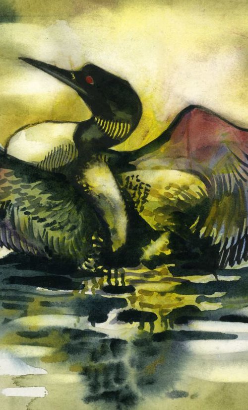 loon watercolor by Alfred  Ng