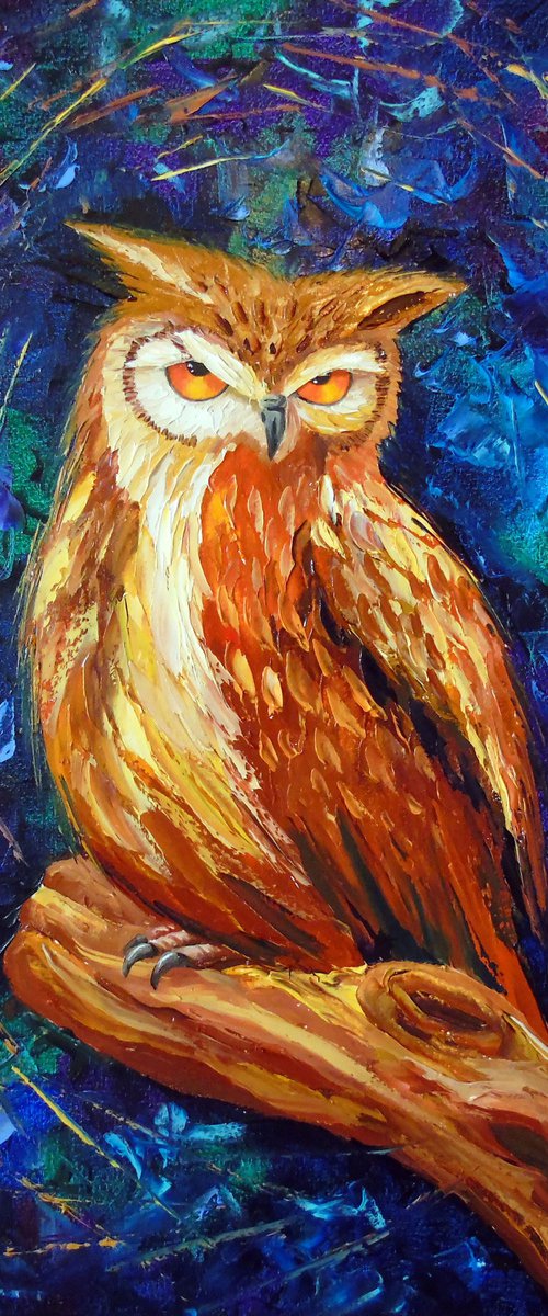 Owl by Olha Darchuk