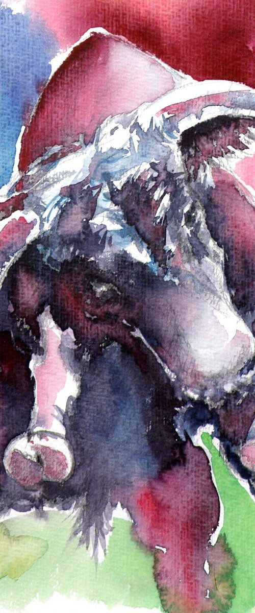 Fighting bull by Kovács Anna Brigitta
