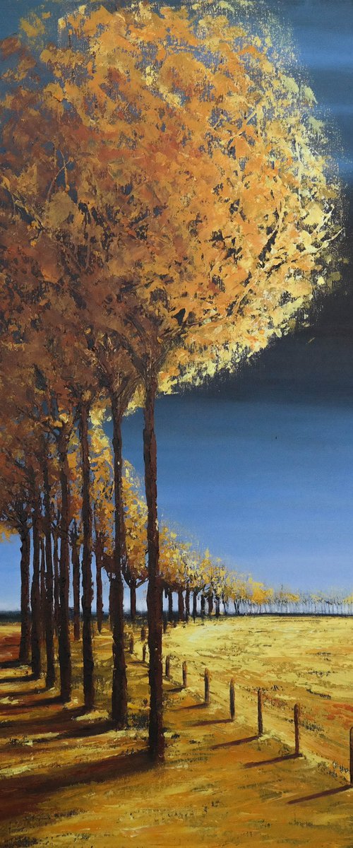 The Lines of Autumn  IV - Fields and Colors Series by Danijela Dan