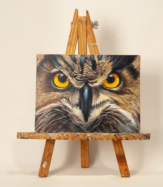 "Owl's Gaze — Golden Eyes That Hypnotize"