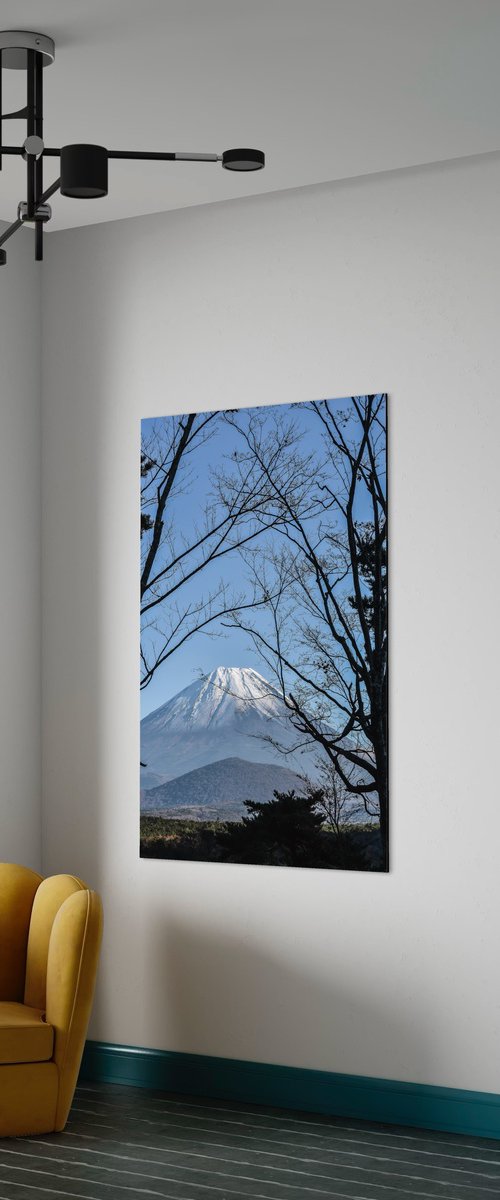 THE BIG FUJI by Fabio Accorrà