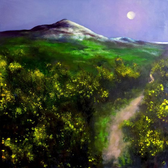 Moonlight over the Sugar Loaf-Ireland