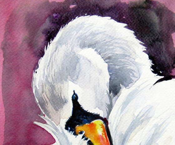 Swan II