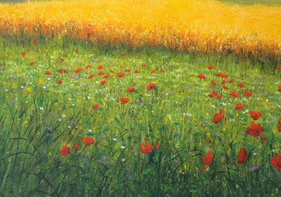 Wheat field in summer